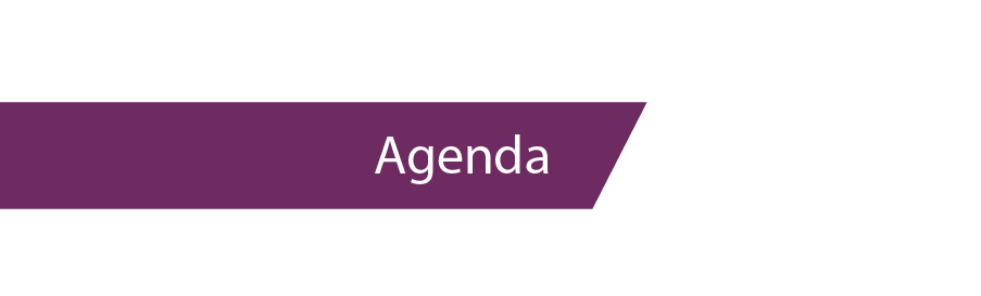 Marketo-Agenda.png