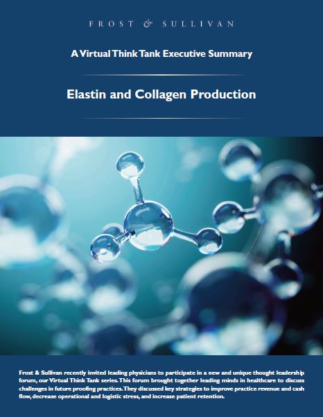 Elastin and Collagen Production